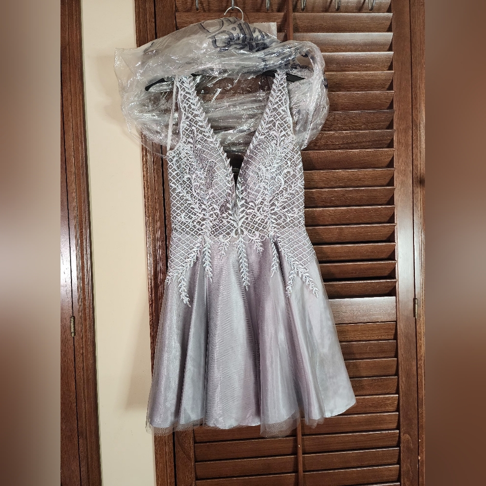 Elegant Silver Lace Dress